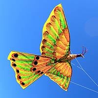 Kite,