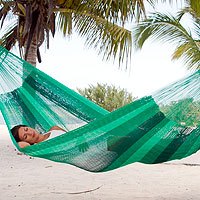 Hammock,