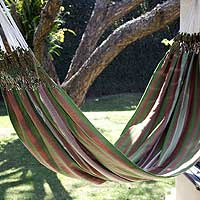 Cotton hammock Coffee Trees single Guatemala