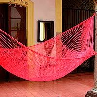 Hammock,