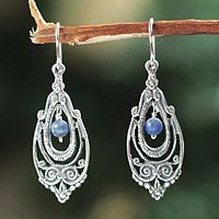 Sodalite dangle earrings,