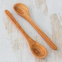 Cedar wood serving spoons Natural Cuisine pair Guatemala
