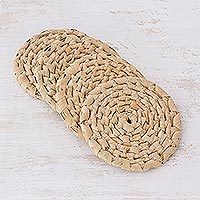Palm leaf coasters,