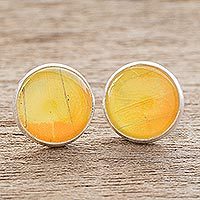 Butterfly wing stud earrings,