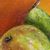 'Still Life II' - Signed Pear Still Life Painting from Costa Rica (image 2b) thumbail