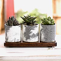 Concrete planters and wood stand, 'Flowers From My Garden' (set of 3) - Handcrafted Small Concrete Planters (Set of 3)