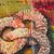 'A Second to Love You' - Original Abstract Painting (image 2b) thumbail