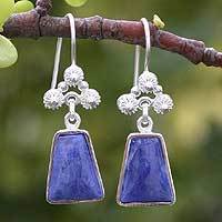 Sodalite earrings,
