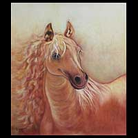 Horse of the Desert 2008 Peru