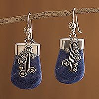 Sodalite dangle earrings,