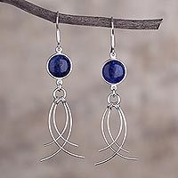 Sodalite dangle earrings,