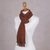 Pima cotton scarf, 'Daring Brown' - Fair Trade Women's Pima Cotton Patterned Scarf (image 2d) thumbail