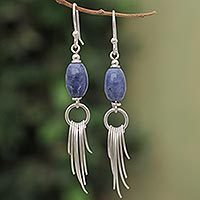 Sodalite dangle earrings,