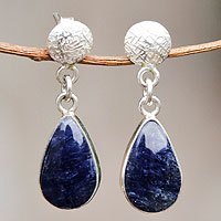 Sodalite dangle earrings,