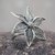 Sterling silver flower ring, 'Jasmine Beauty' - Artisan Crafted Jewelry Sterling Silver Flower Ring thumbail