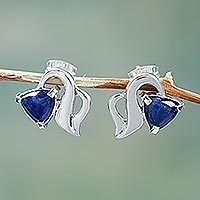 Sodalite stud earrings,