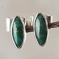 Chrysocolla button earrings,
