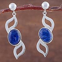 Sodalite dangle earrings,