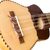 Wood charango guitar, 'Musical Spider' - Nazca Spider on Traditional Peruvian Charango Guitar (image 2c) thumbail