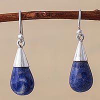 Sodalite dangle earrings,