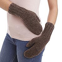 Alpaca blend mittens,