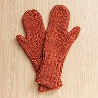 Alpaca blend mittens,