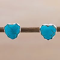 Silver stud earrings,