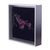 'The Cantua' - Framed Painting of a Salvia Flower from Peru (image 2b) thumbail