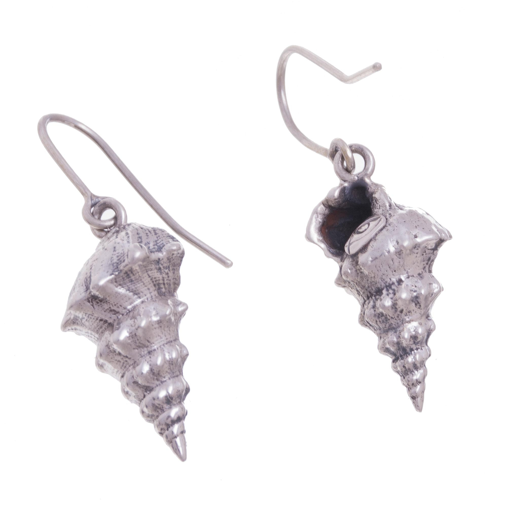 Silver Conch Shell Dangle Earrings From Peru Elegant Conch Novica