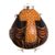 Sterling silver accented gourd figurine, 'Male Owl Doctor in Brown' - Sterling Silver and Gourd Male Owl Doctor Figurine in Brown (image 2d) thumbail