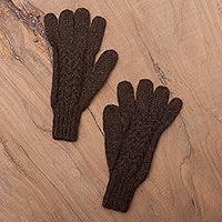 100% alpaca gloves, 'Winter Walk in Mahogany' - Hand-Knit 100% Alpaca Gloves in Mahogany from Peru