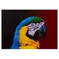 'Sunset of Colors' - Original Realistic Macaw Bird Painting from Peru