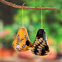 Dried gourd ornaments, 'Natural Homes' (set of 2) - Set of 2 Leafy Painted Brown and Black Dried Gourd Ornaments