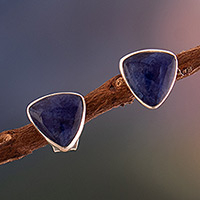 Sodalite stud earrings, 'Serene Heroism' - High-Polished Natural Sodalite Stud Earrings from Peru