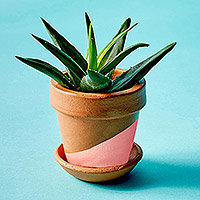 Terracotta planter, 'Sleek Garden in Pink' - Terracotta Planter Pot from India