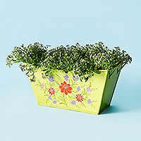Metal planter, 'Garden Oasis' - Floral Handpainted Green Planter Box from India