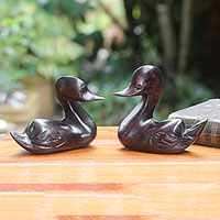 Ebony figurines African Ducks pair Ghana