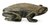 Wood sculpture, 'African Frog' - Frog Sculpture (image 2a) thumbail