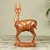 Teakwood sculpture, 'Wary Deer' - West African Hand Carved Teak Wood Deer Sculpture thumbail