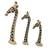 Wood sculptures, 'Giraffe Trio' (set of 3) - Set of 3 Hand Carved Giraffe Head Sculptures from Ghana (image 2b) thumbail