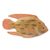 Wood sculpture, 'Ghanaian Redfish' - Hand Carved and Painted African Wood Fish Sculpture (image 2a) thumbail
