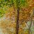 'Beauty of Nature V' - Signed Original Forest Waterfall Nature Painting from Ghana (image 2b) thumbail