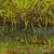 'Beauty of Nature V' - Signed Original Forest Waterfall Nature Painting from Ghana (image 2c) thumbail