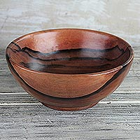 Ebony wood decorative bowl, 'Nature's Richness' - Hand-Carved Polished Ebony Wood Decorative Bowl