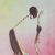 'Brown Shades' - Signed Expressionist Painting of a Woman from Ghana (image 2b) thumbail