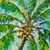 'Stability I' - Coconut Tree Oil Painting on Canvas (image 2b) thumbail