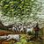 'White Birds' (2020) - Signed Oil Tree Painting on Canvas (2020) (image 2c) thumbail