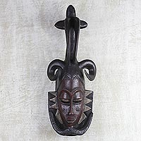Ivoirian wood mask, 'Brave and Noble' - Ivoirian wood mask