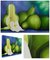 'Pears II' (triptych) thumbail
