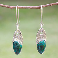 Chrysocolla dangle earrings, 'Peaceful Wisdoms' - Mexico Silver 950 Chrysocolla Dangle Earrings